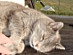 View full size picture