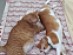 View full size picture