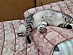 View full size picture