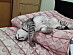 View full size picture