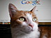View full size picture