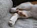 View full size picture
