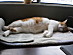 View full size picture