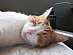 View full size picture