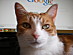 View full size picture