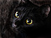View full size picture
