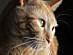 View full size picture