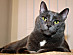 View full size picture