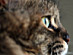 View full size picture