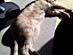 View full size picture