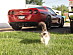 View full size picture