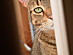 View full size picture
