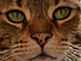 View full size picture