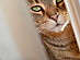 View full size picture