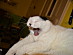 View full size picture