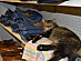 View full size picture