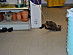 View full size picture