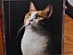 View full size picture