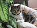 View full size picture