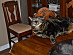 View full size picture