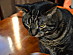 View full size picture