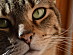 View full size picture