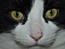 View full size picture