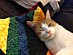 View full size picture