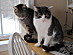 View full size picture