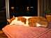 View full size picture