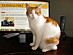 View full size picture