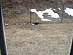 View full size picture