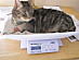 View full size picture