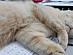 View full size picture
