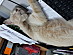 View full size picture