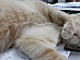 View full size picture