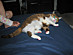 View full size picture