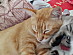 View full size picture