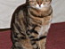 View full size picture