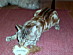 View full size picture