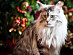 View full size picture