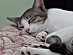 View full size picture
