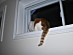 View full size picture