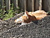 View full size picture