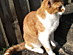 View full size picture