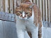 View full size picture