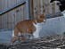 View full size picture