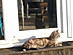 View full size picture