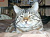 View full size picture