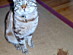 View full size picture